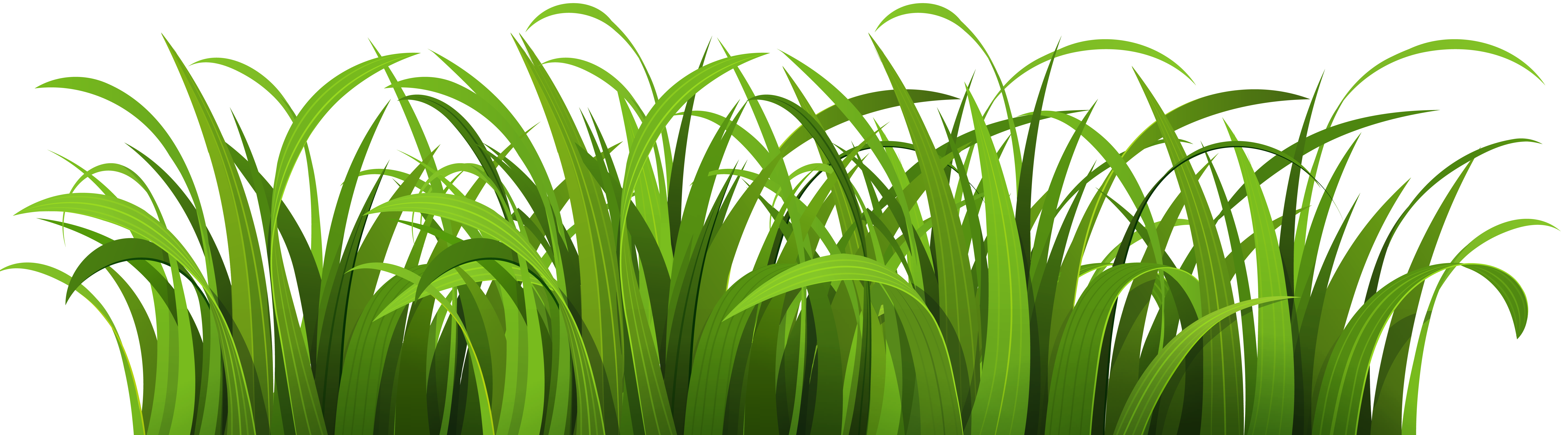 gras-maaien